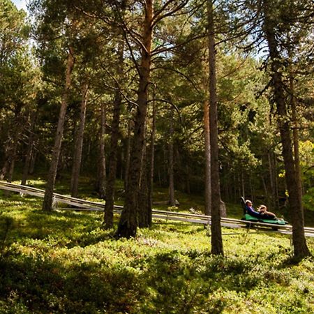 Apartamento Ribasol Vallnord En Arinsal Tintin エクステリア 写真